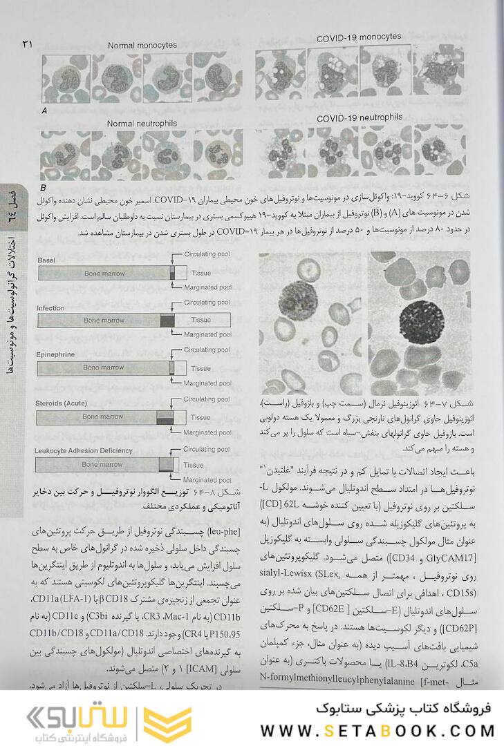اصول طب داخلی هاریسون هماتولوژی 2022