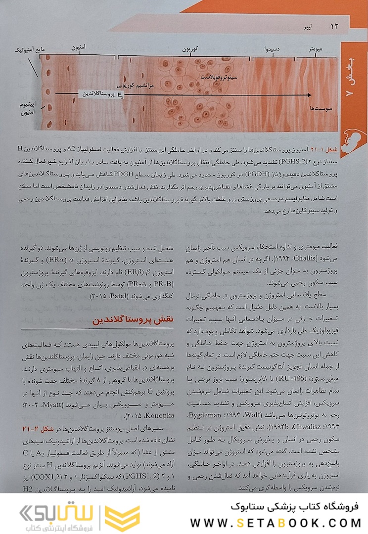 بارداری و زایمان ویلیامز 2022 جلد دوم