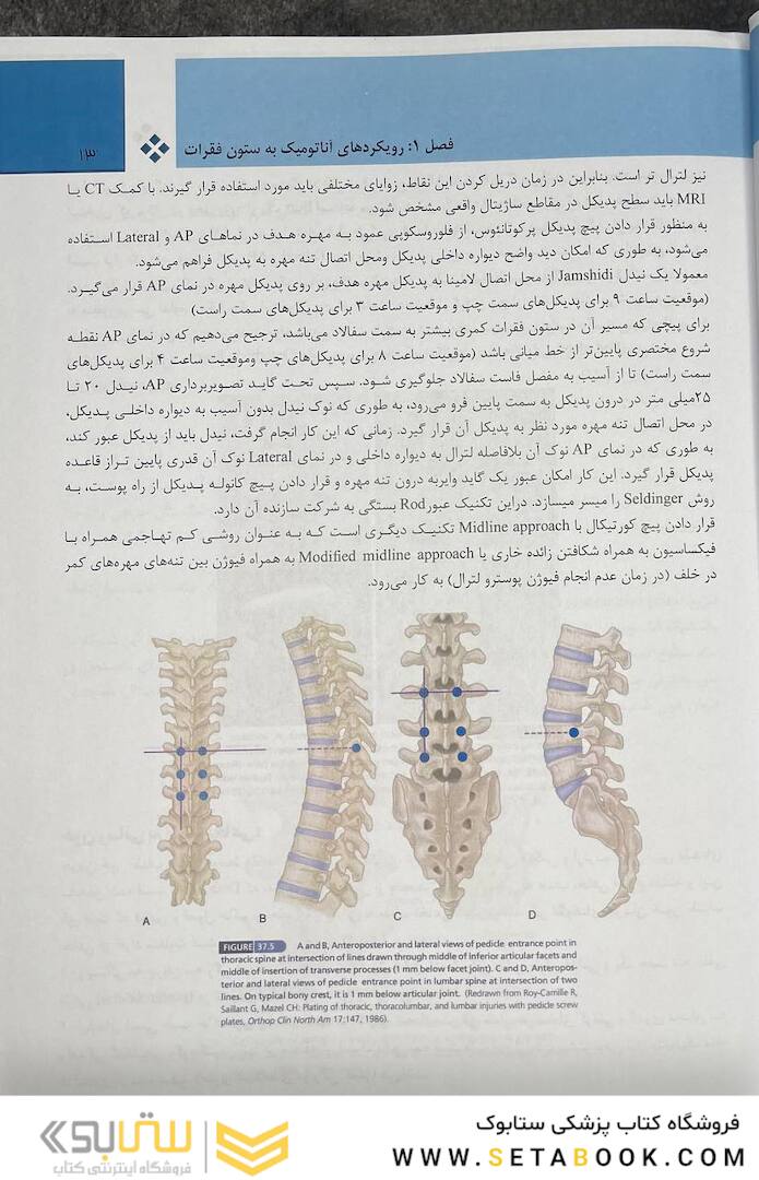 بیماری  های ستون فقرات - کمپل 2021