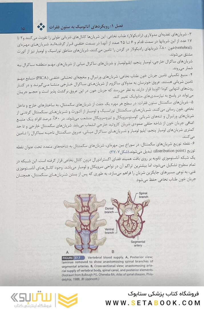 بیماری  های ستون فقرات - کمپل 2021