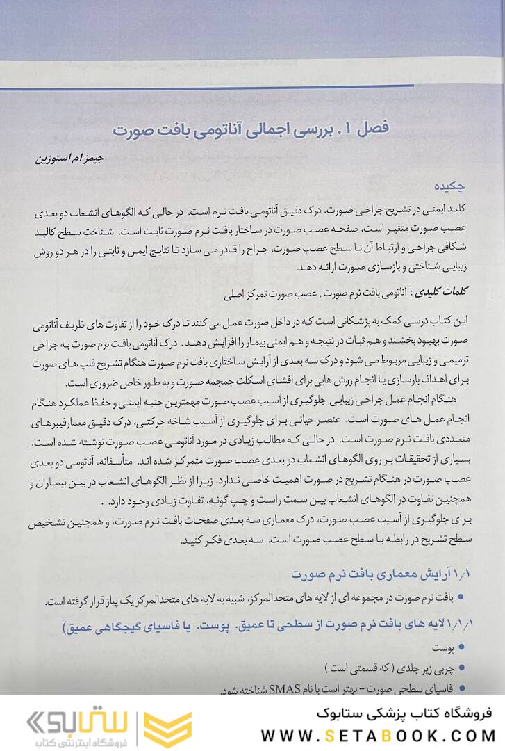 منطقه خطر صورت