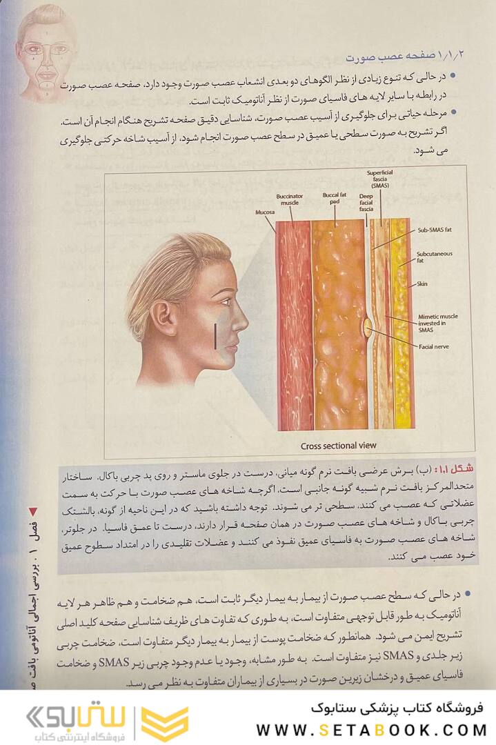 منطقه خطر صورت