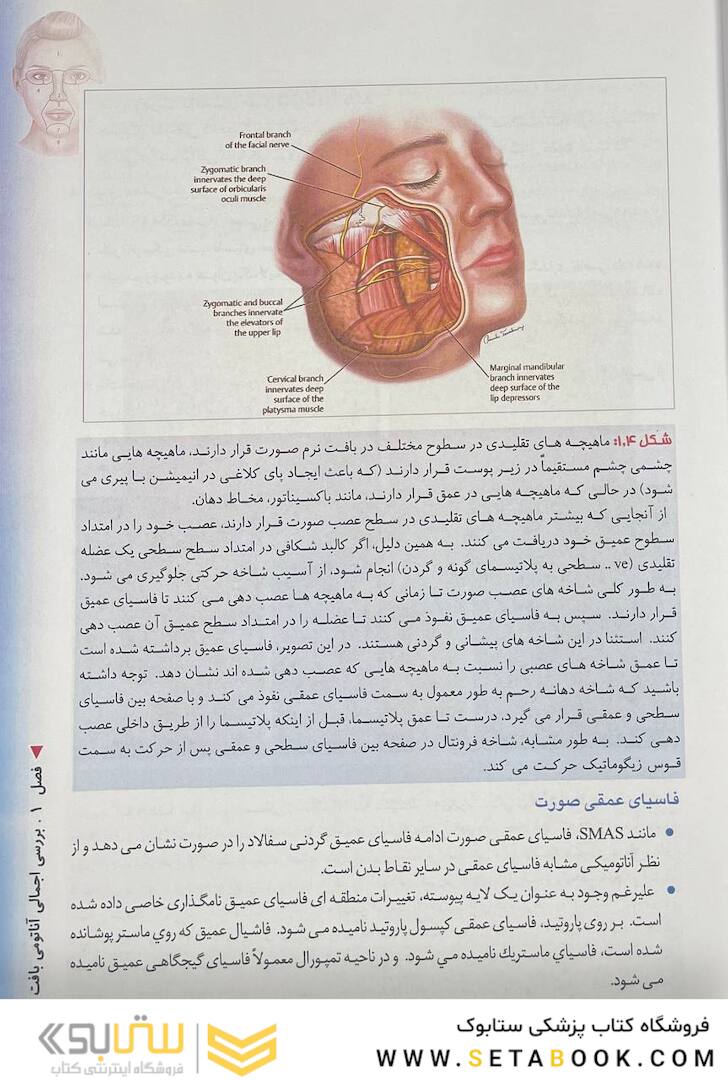 منطقه خطر صورت