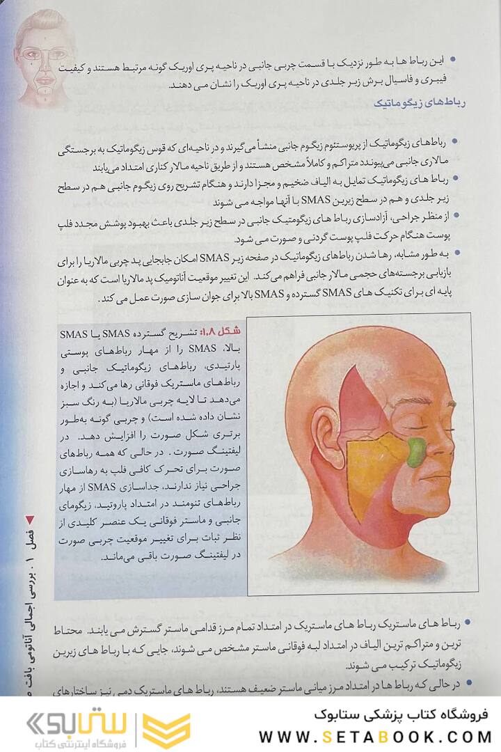 منطقه خطر صورت