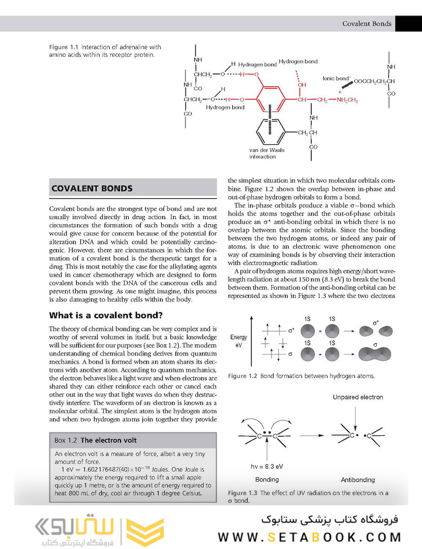 Pharmaceutical Chemistry 1st Edicion