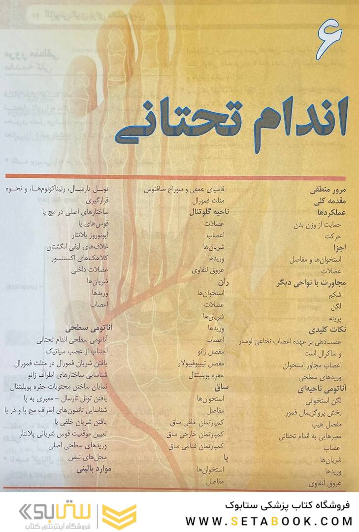 آناتومی گری برای دانشجویان اندام جلد دوم 2024