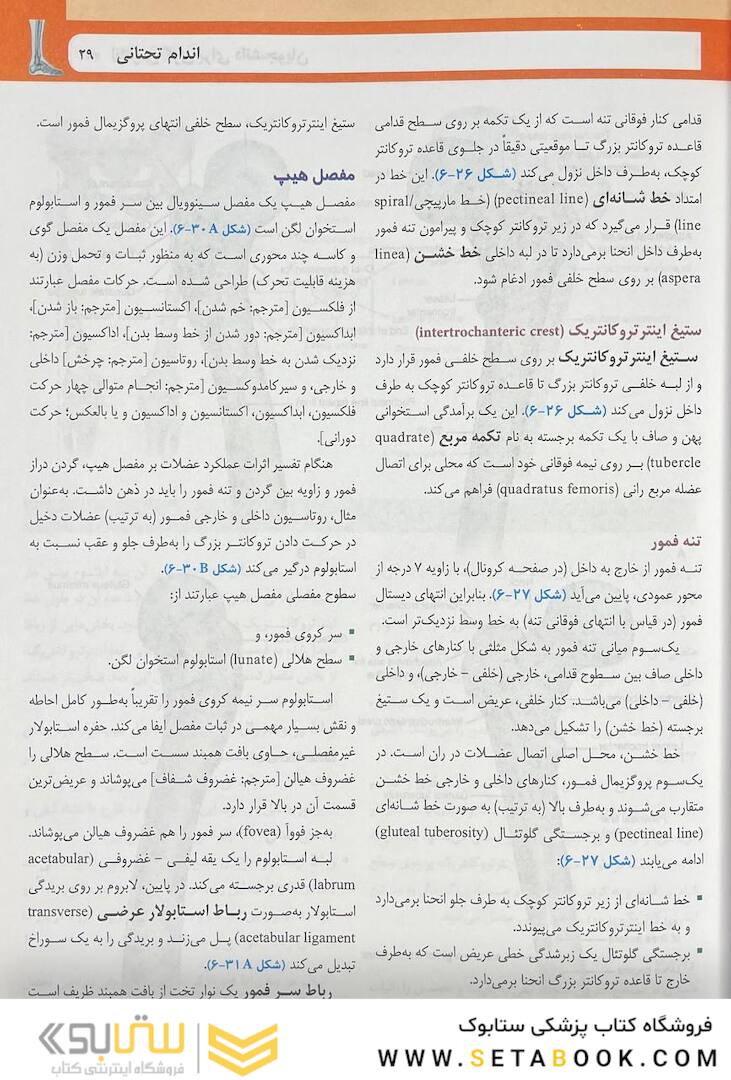 آناتومی گری برای دانشجویان اندام جلد دوم 2024