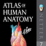 Atlas of Human Anatomy Netter Basic Science 2018