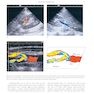 Diagnostic Imaging Armstrong 7th Edicion  2013