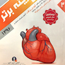 گزینه برتر داخلی (گوارش و قلب) 1396 جلد 3