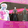 فیزیولوژی پزشکی گایتون/هال  جلد 1