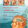 شناخت و درمان بیماری های مغز و اعصاب
