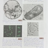 میکروب شناسی پزشکی جاوتز 2019 باکتری‌شناسی جلد 1 ویرایش 28