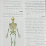 آناتومی گری برای دانشجویان تنه (جلد 1) 2020