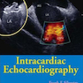 Intracardiac Echocardiography