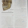 آناتومی گری برای دانشجویان سر و گردن (جلد 3 ) 2020