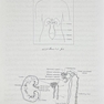 بیوشیمی ادرار به انضمام اطلس کامل رنگی