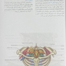 ترجمه کامل چهار جلدی آناتومی گری برای دانشجویان 2020 ( رضا شیرازی)