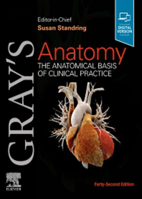 Gray's Anatomy: The Anatomical Basis of Clinical Practice 42nd Edition