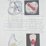 شناخت آناتومی و مورفولوژی دندان
