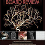 The NeuroICU Board Review 1st Edition2018