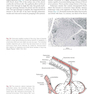 Respiratory Physiology: Mosby Physiology Series 2nd Edition