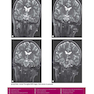 Weir - Abrahams’ Imaging Atlas of Human Anatomy