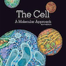 The Cell: A Molecular Approach 8th Edition 2019
