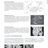 CT Teaching Manual: A Systematic Approach to CT Reading 5. Edicion