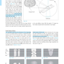 CT Teaching Manual: A Systematic Approach to CT Reading 5. Edicion