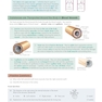 AS-Level Biology OCR Complete Revision - Practice2015