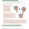 AS-Level Biology OCR Complete Revision - Practice2015