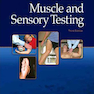Muscle and Sensory Testing تست عضلانی و حسی