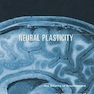 Neural Plasticity : The Effects of Environment on the Development of the Cerebral Cortex