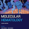 Molecular Hematology2019