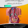 تشریح دستگاه لنفاوی به همراه نکات بالینی و مولکولی