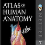 Atlas of Human Anatomy Netter Basic Science 2018 کتاب اطلس آناتومی نتر
