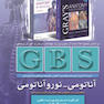 GBS آناتومی - نوروآناتومی