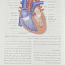 پرستاری داخلی جراحی برونر سودارث 2022 قلب و عروق و گردش خون جلد 5