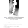 Master the Boards USMLE Step 2 CK 7th Ed