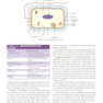 Infection Control and Management of Hazardous Materials for the Dental Team