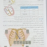 آموزش پایه تا پیشرفته ECG و اورژانس های قلب کاملا بالینی