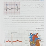 آموزش پایه تا پیشرفته ECG و اورژانس های قلب کاملا بالینی