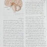 پرستاری داخلی جراحی برونر مغز و اعصاب  2022 جلد 15