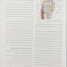 پرستاری داخلی جراحی برونر سودارث 2022 ارتوپدی جلد 8