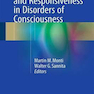 Brain Function and Responsiveness in Disorders of Consciousness