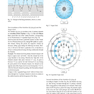 اطلس طب سوزنی Atlas of Acupuncture