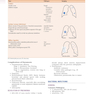 Primer of Diagnostic Imaging