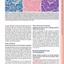  Histology: A Text and Atlas: With Correlated Cell and Molecular Biology 2020  بافت شناسی راس
