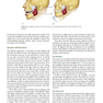 Management of Temporomandibular Disorders and Occlusion 2020